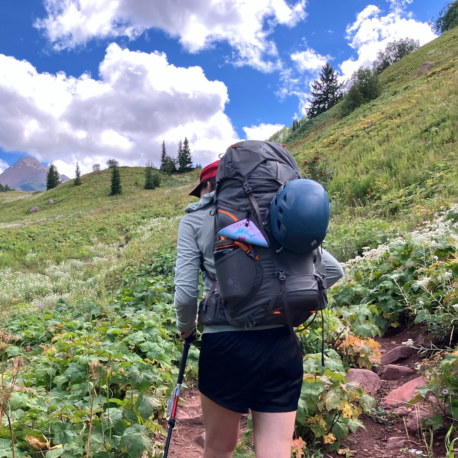 gregory backpack side traps Border 30L Travel Pack Sleek, Laptop-Friendly Carry-On for Work, Urban Travel & Short Trips free DWR treatment Meet Our New Favorite Summer