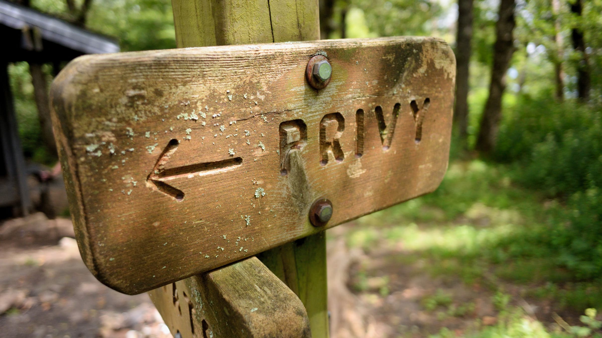 Appalachian Trail Hikers Sickened in Suspected Norovirus Outbreak ...