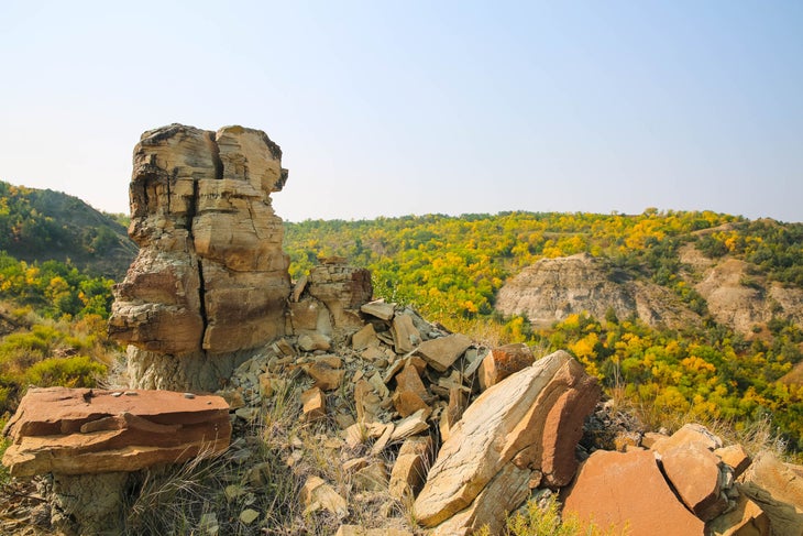 Rock formations with yellow flowers