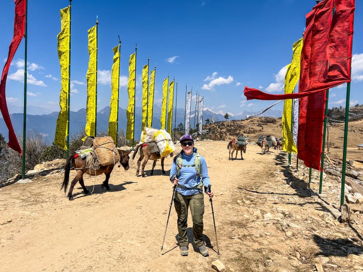 The author and some pack horses along the Druk Path Trek.