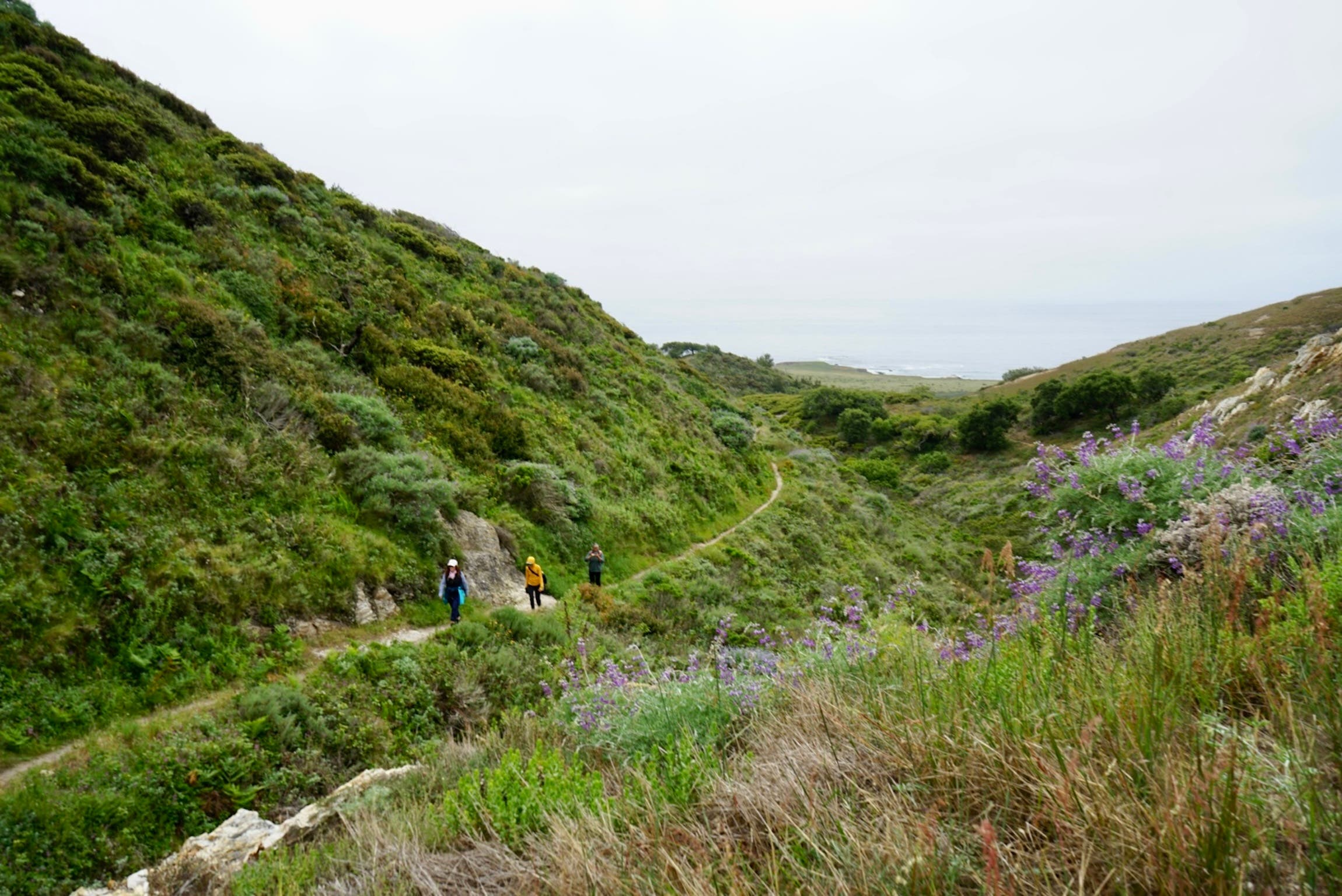 Montana De Oro hikes with friends