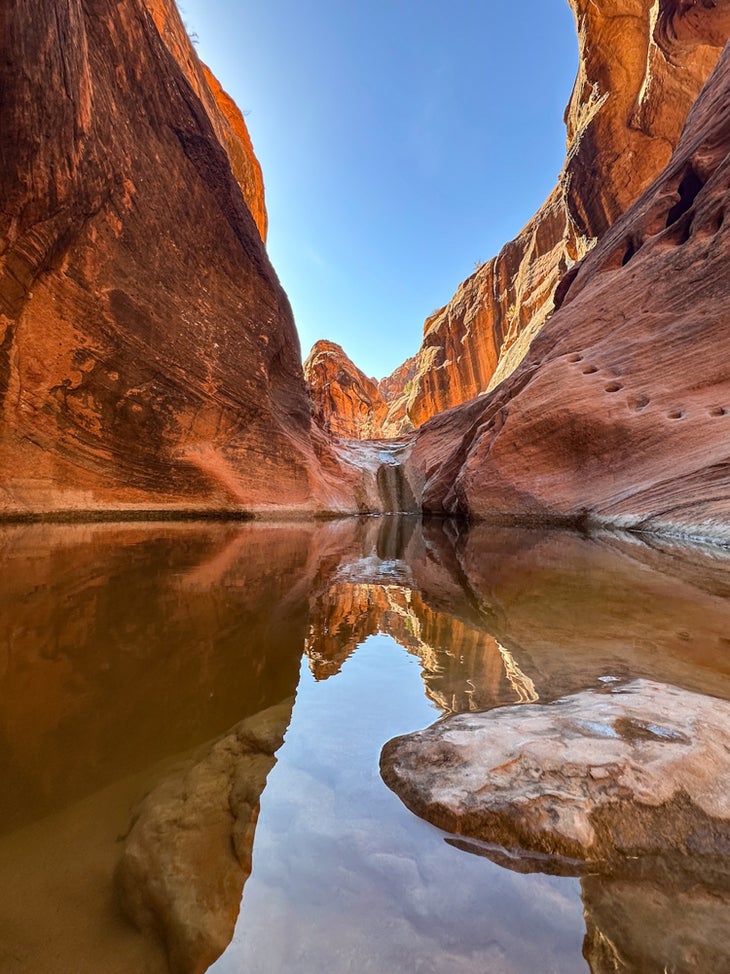 Red Reef Trail in the Red Cliffs National Conservation Area.