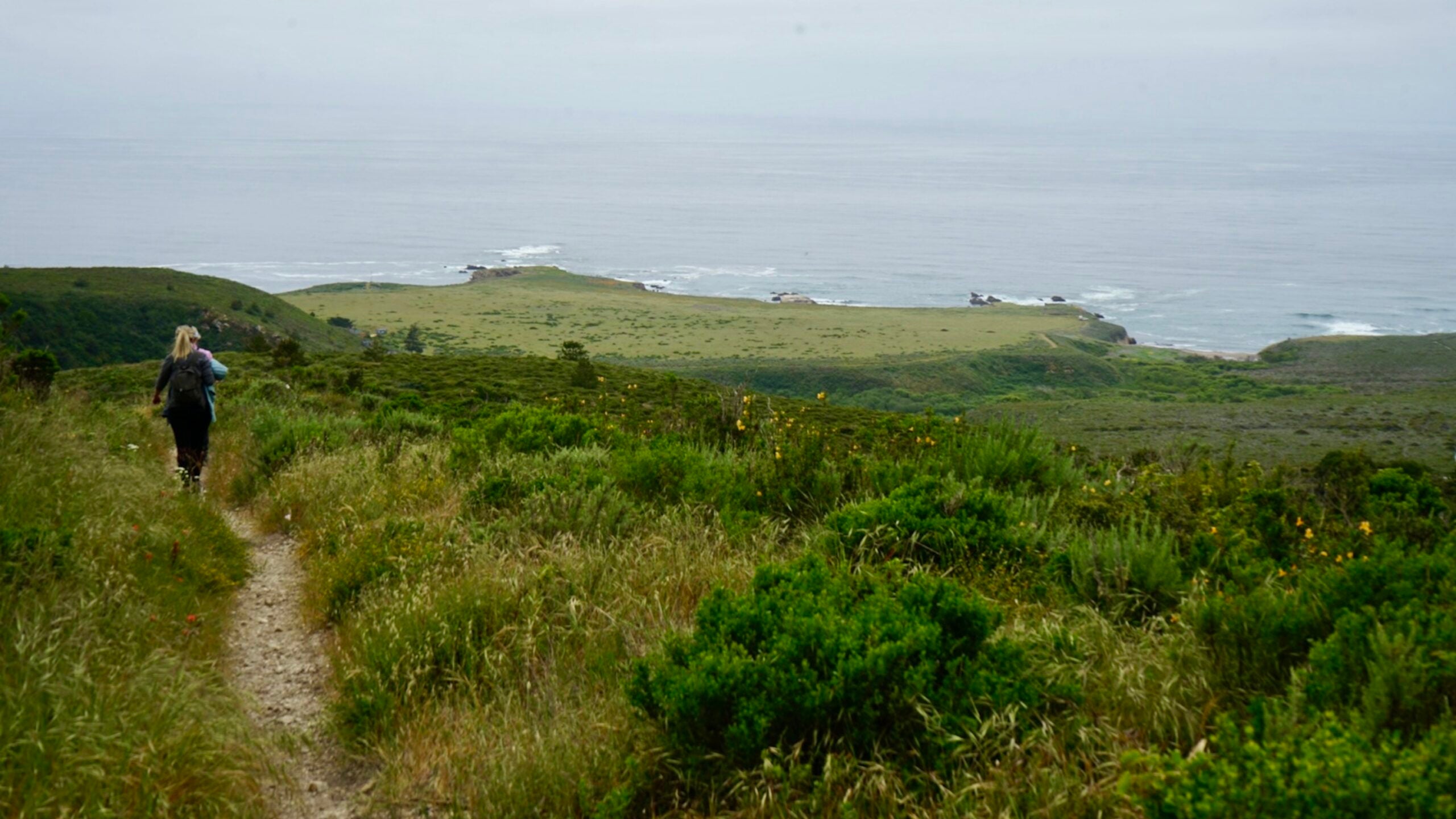 hiking the bluffs in montana de oro state park