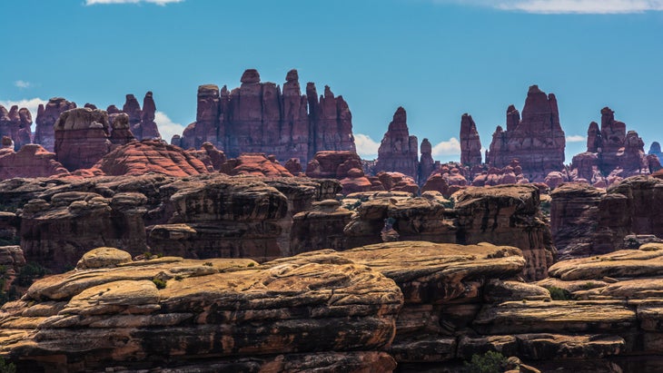 Needles District, Canyonlands