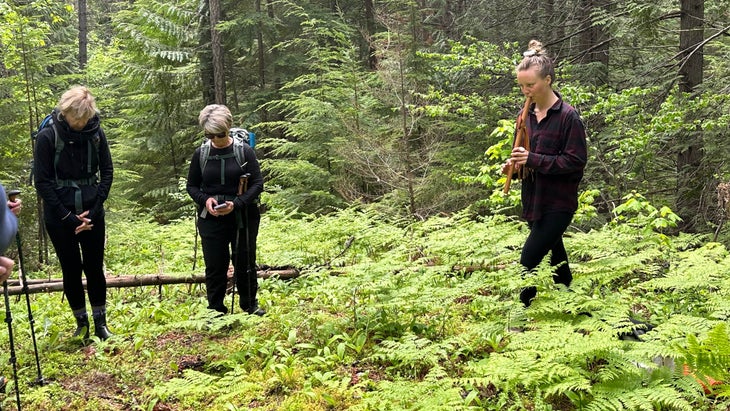 forest bathing