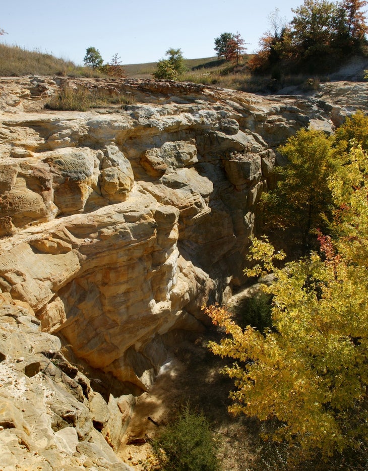 Buffalo Rock idnr