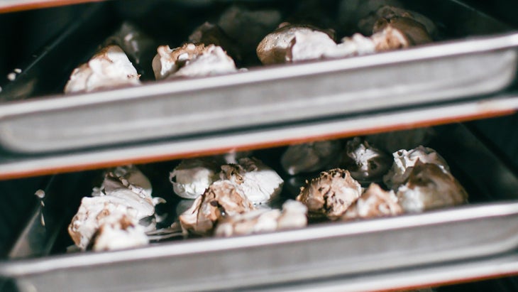 ice cream scoops in freeze-dryer