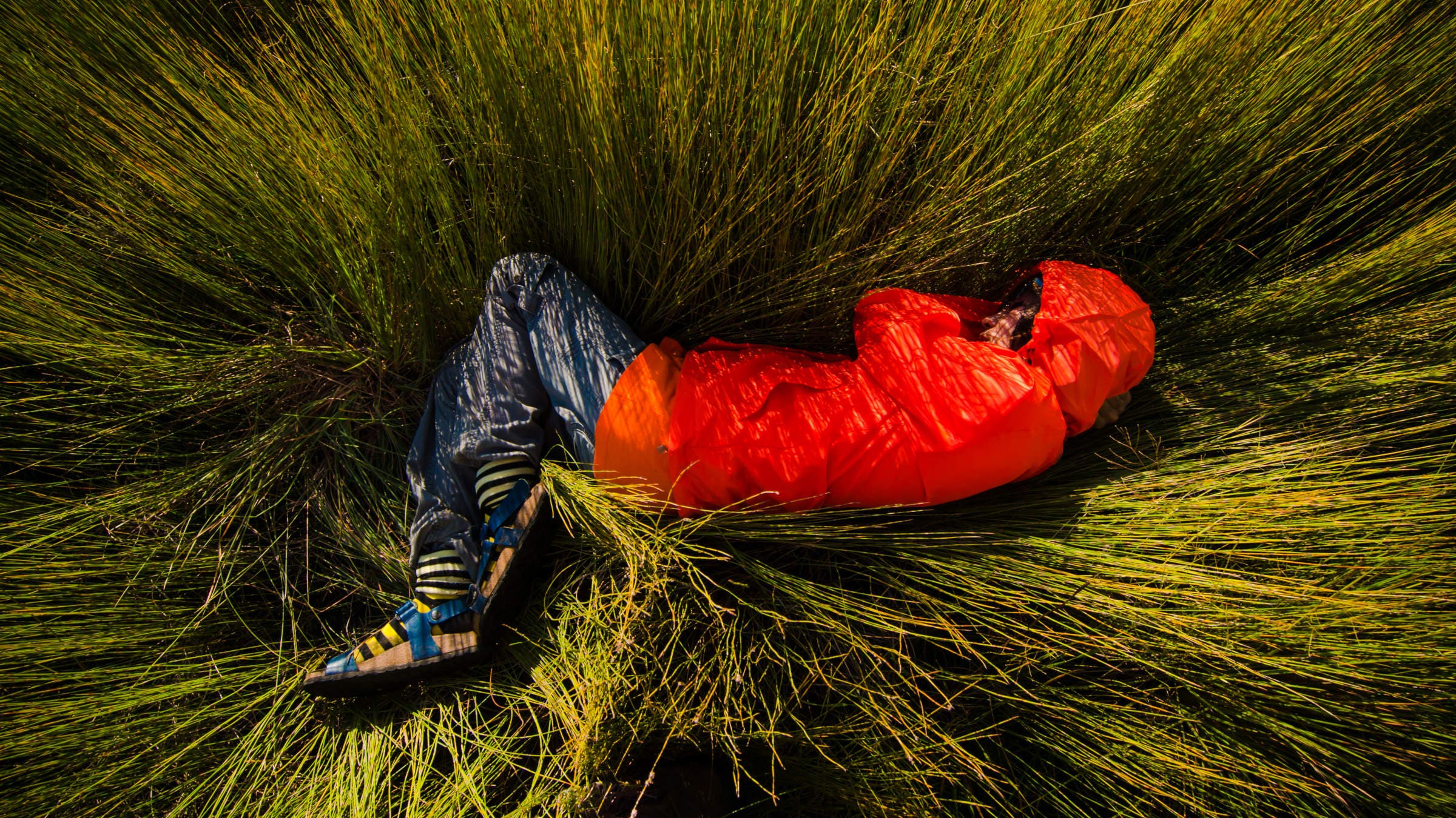 Hiker lying in grass