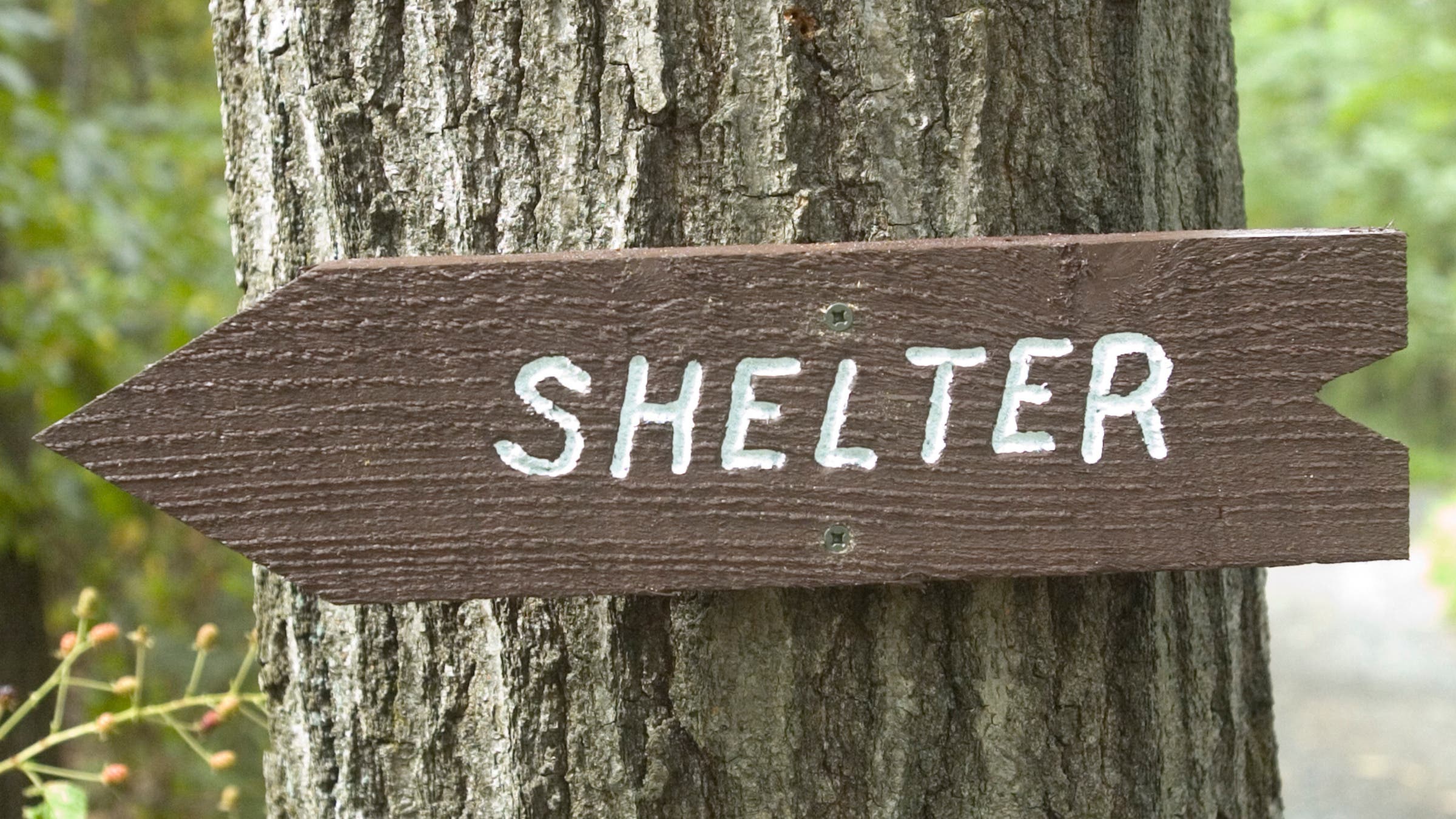 501 shelter sign