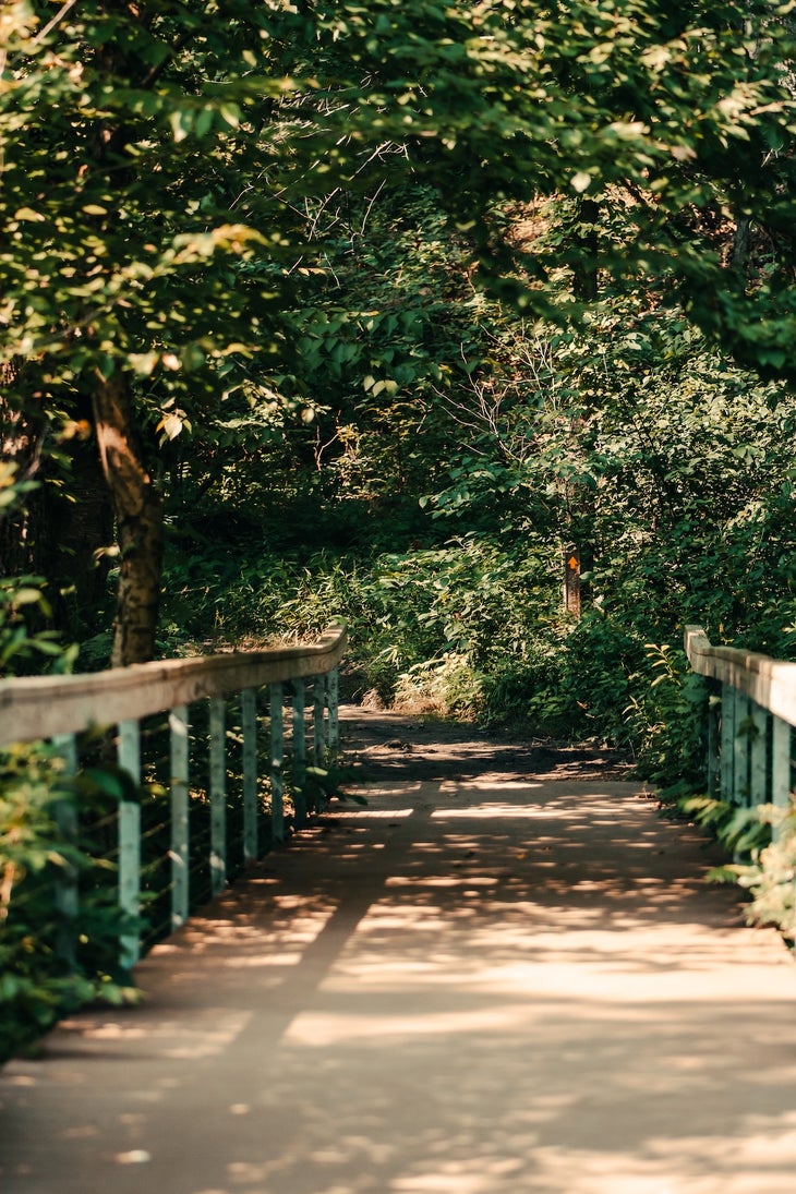 Cowles Bog Trail at Indiana Dunes National Park