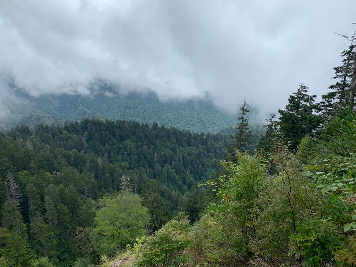 hike up to mt leconte