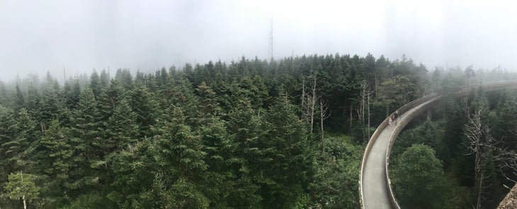clingmans dome Kuwohi Observation Tower