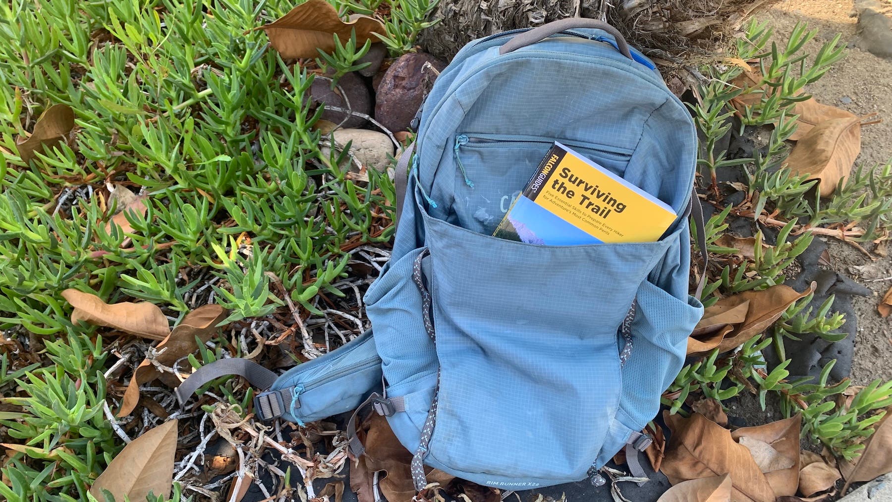 surviving the trail book
