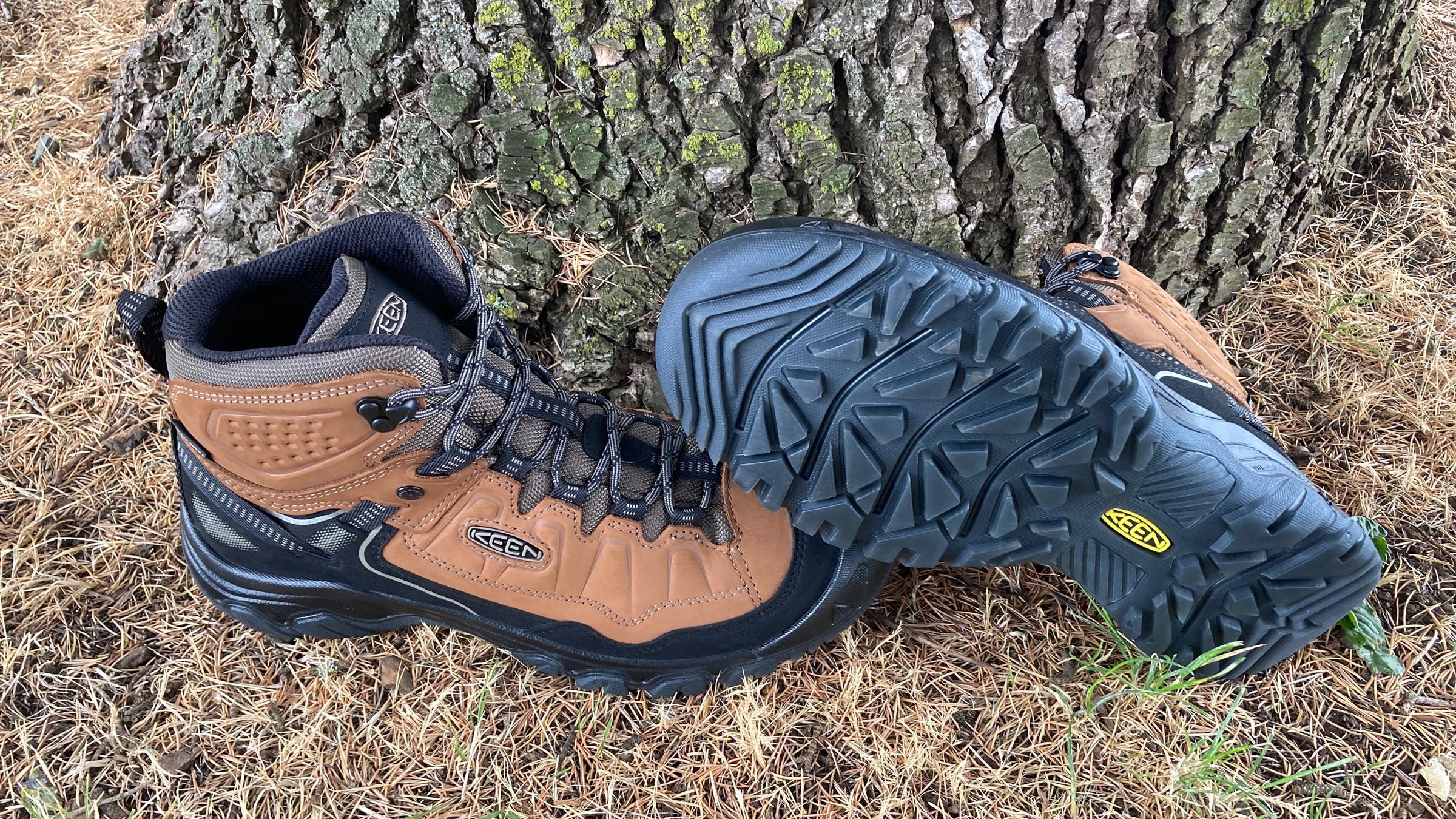 Keen Targhee IV