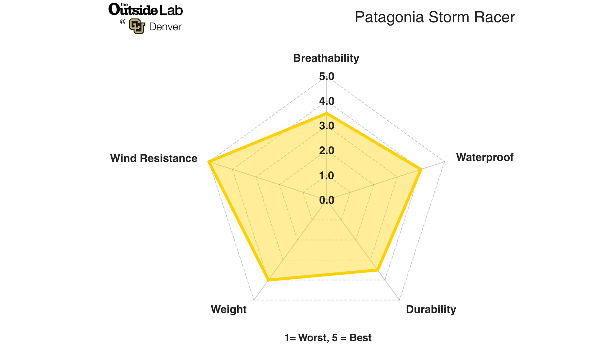 Patagonia Storm Racer