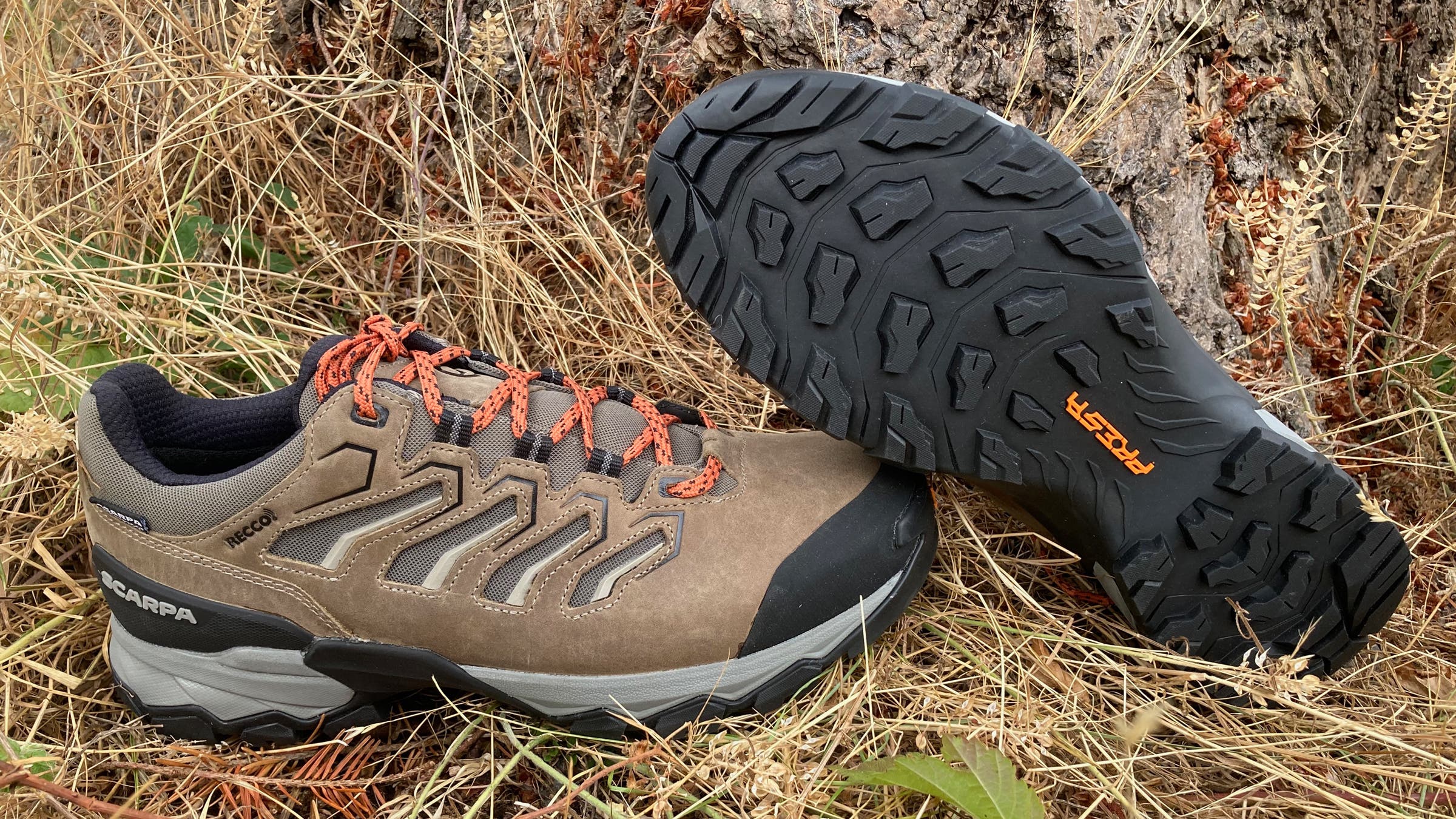 Scarpa Moraine Low
