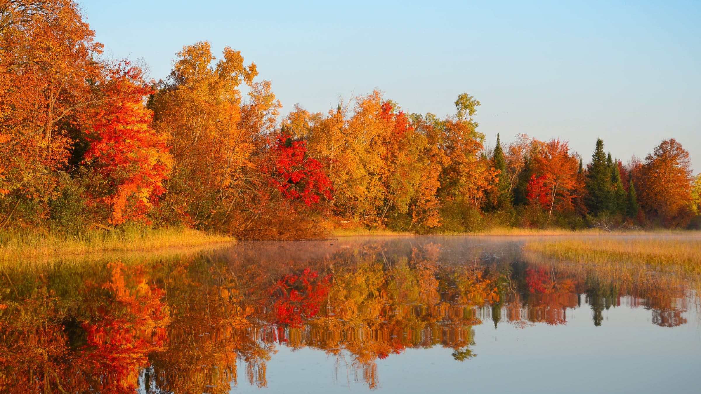 Fall foliage
