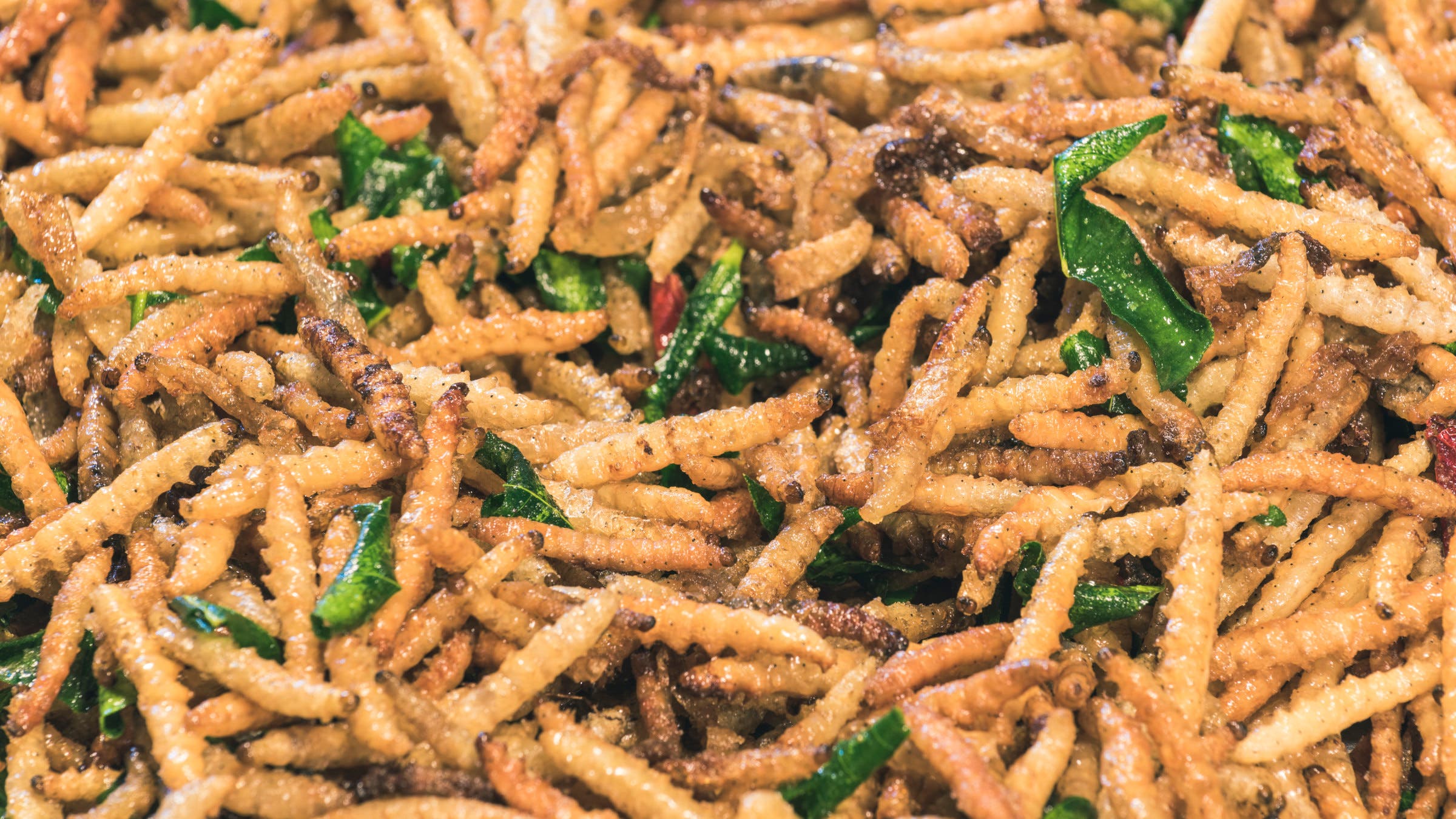 Fried larvae