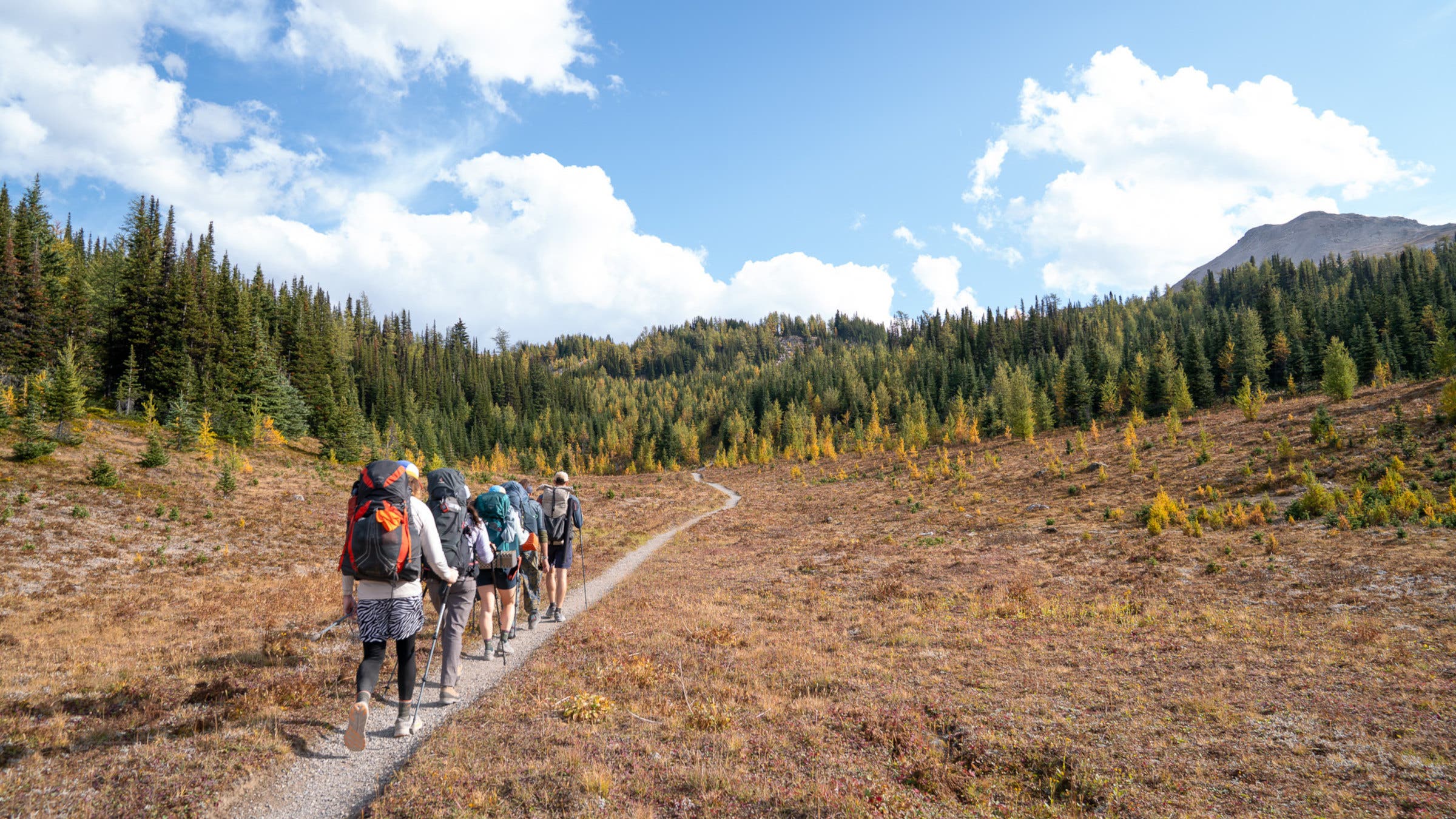 group hike