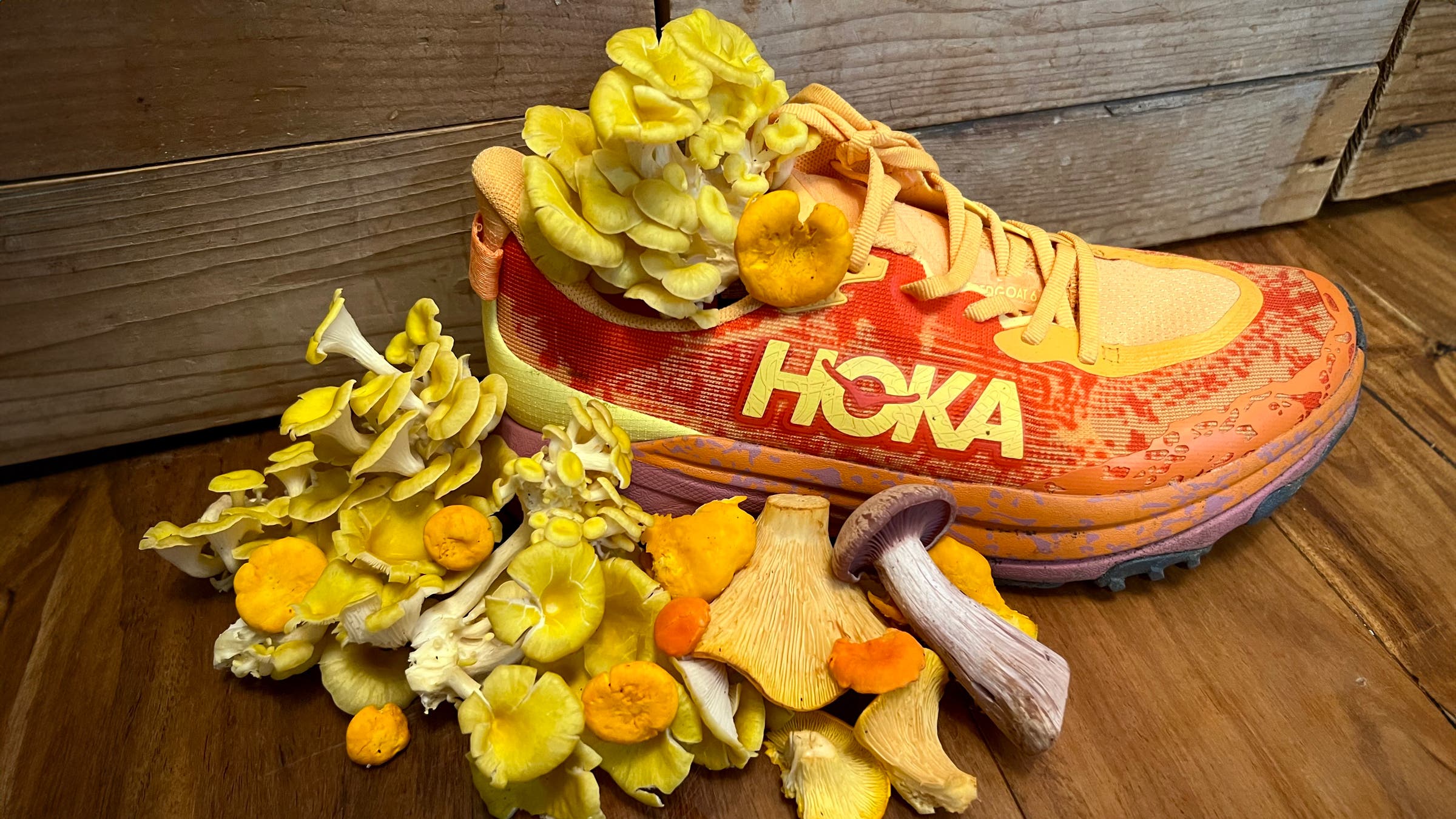 Hoka Speedgoat 6 trail hiking shoe with mushrooms orange and yellow