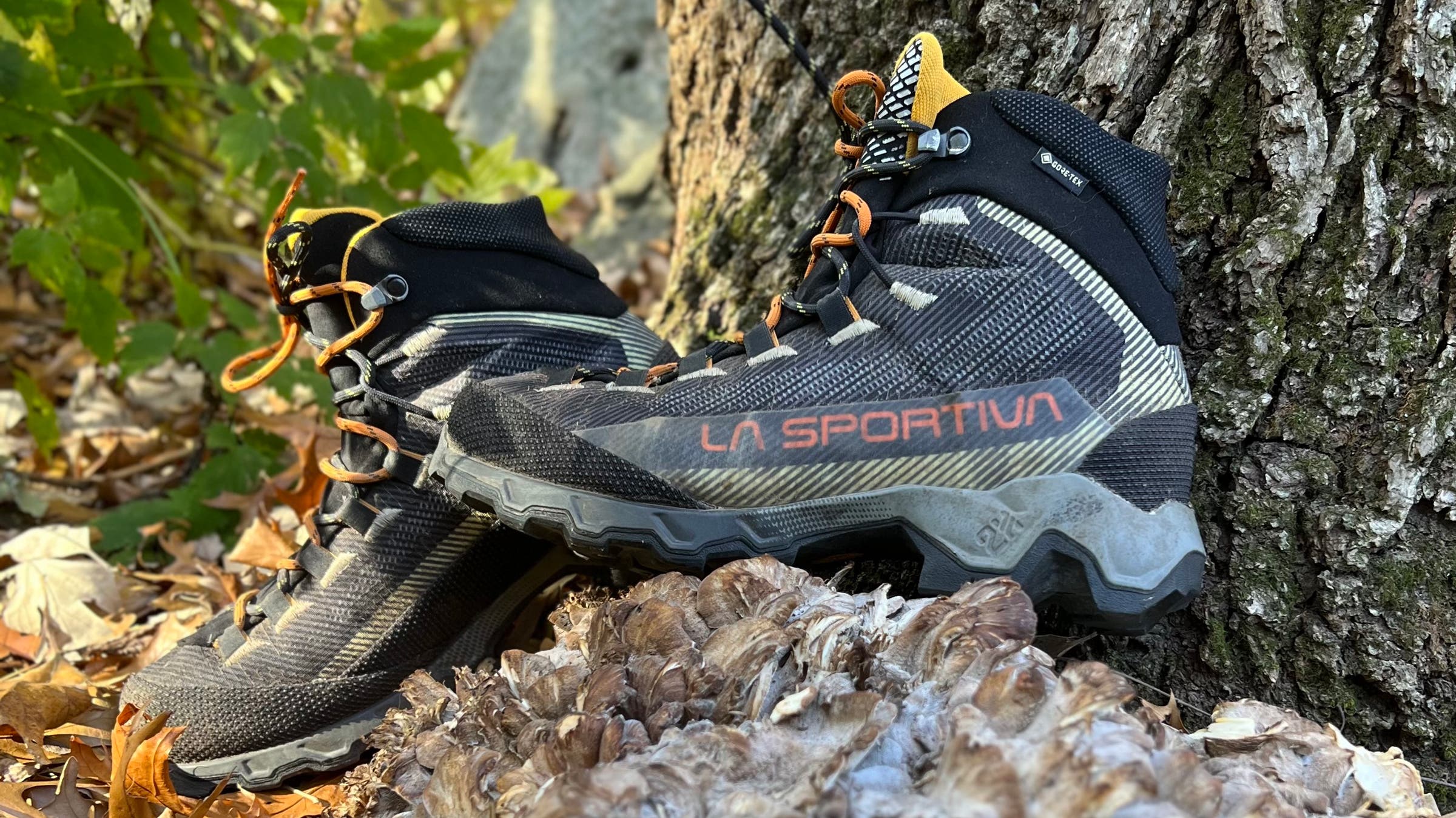 LaSportiva Aequilibrium hiking boot in the woods