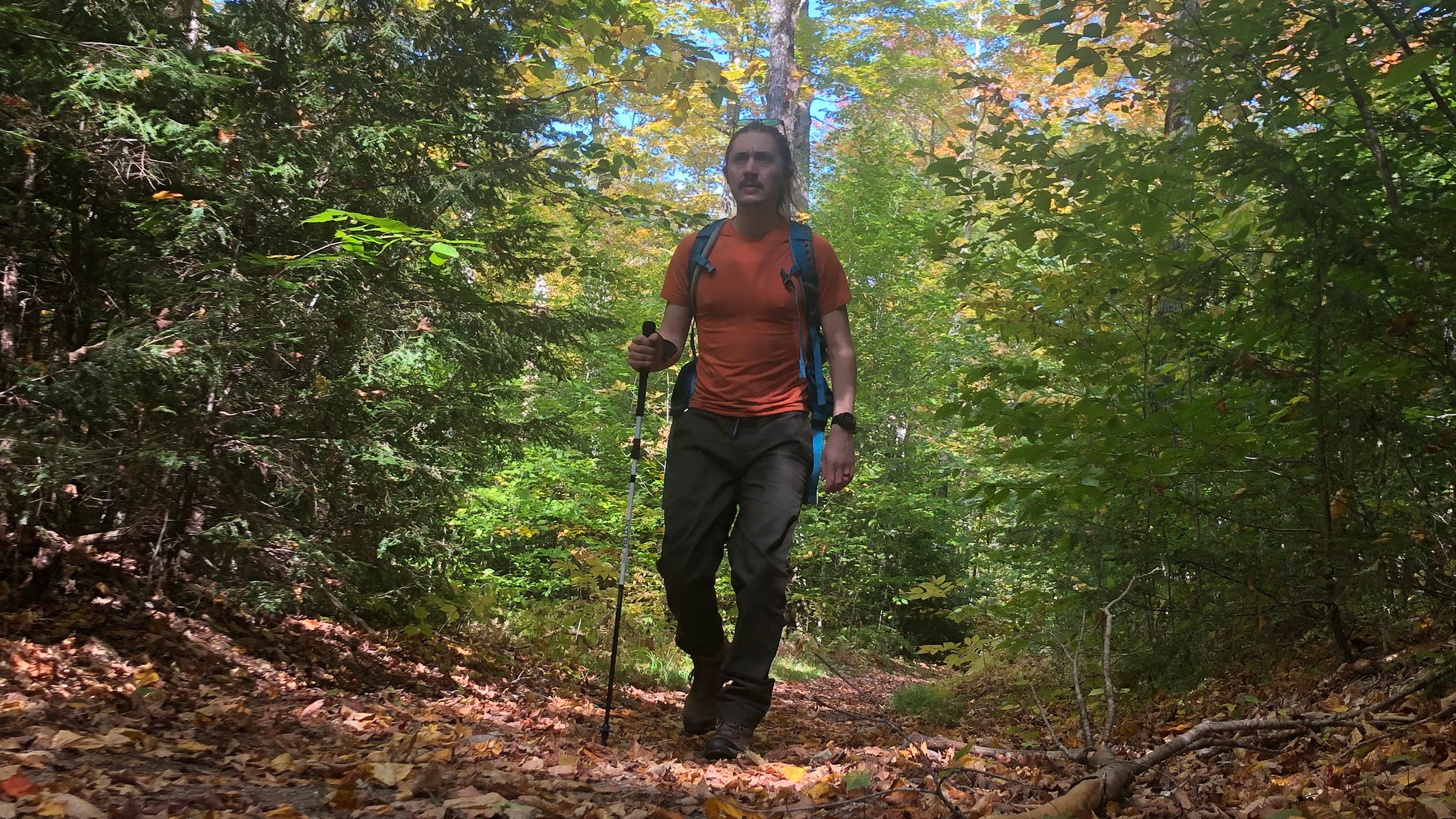 Hike hiking with LEKI SkyTera trekking poles