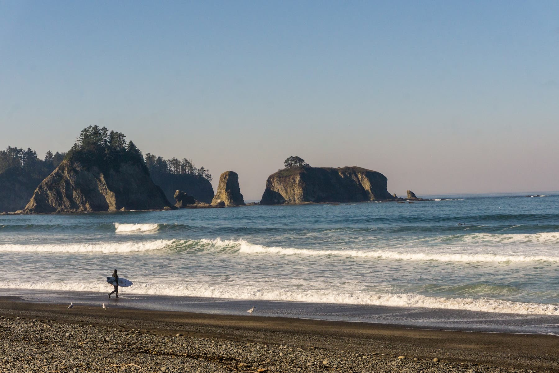 Olympic Rialto Beach Surfer