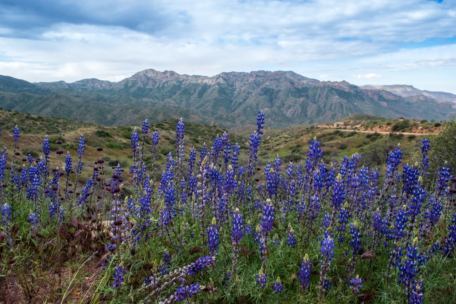 springtime superstitions