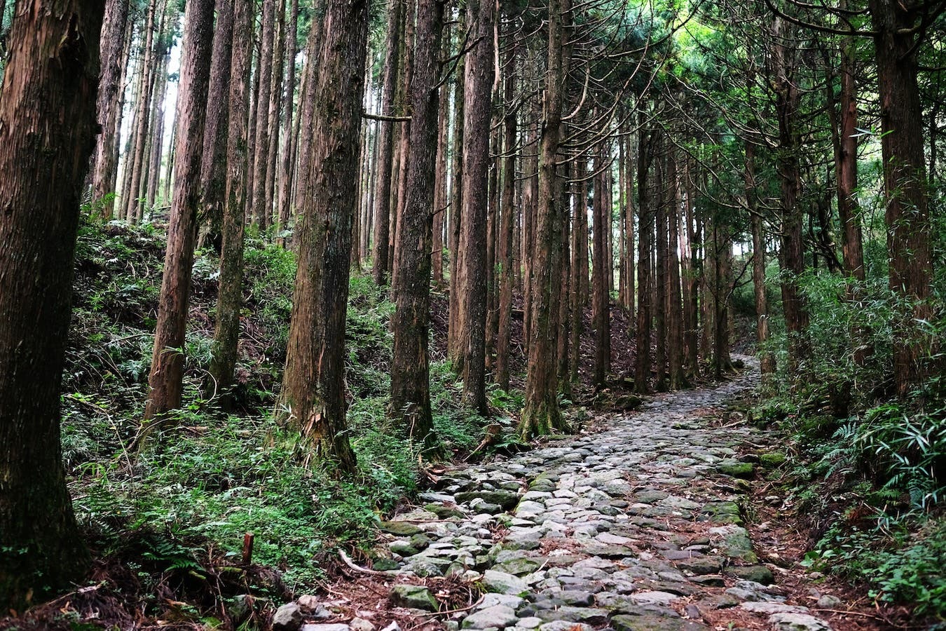 A sign at the start of the old Tokaido Road trail in Hakone, Japan.