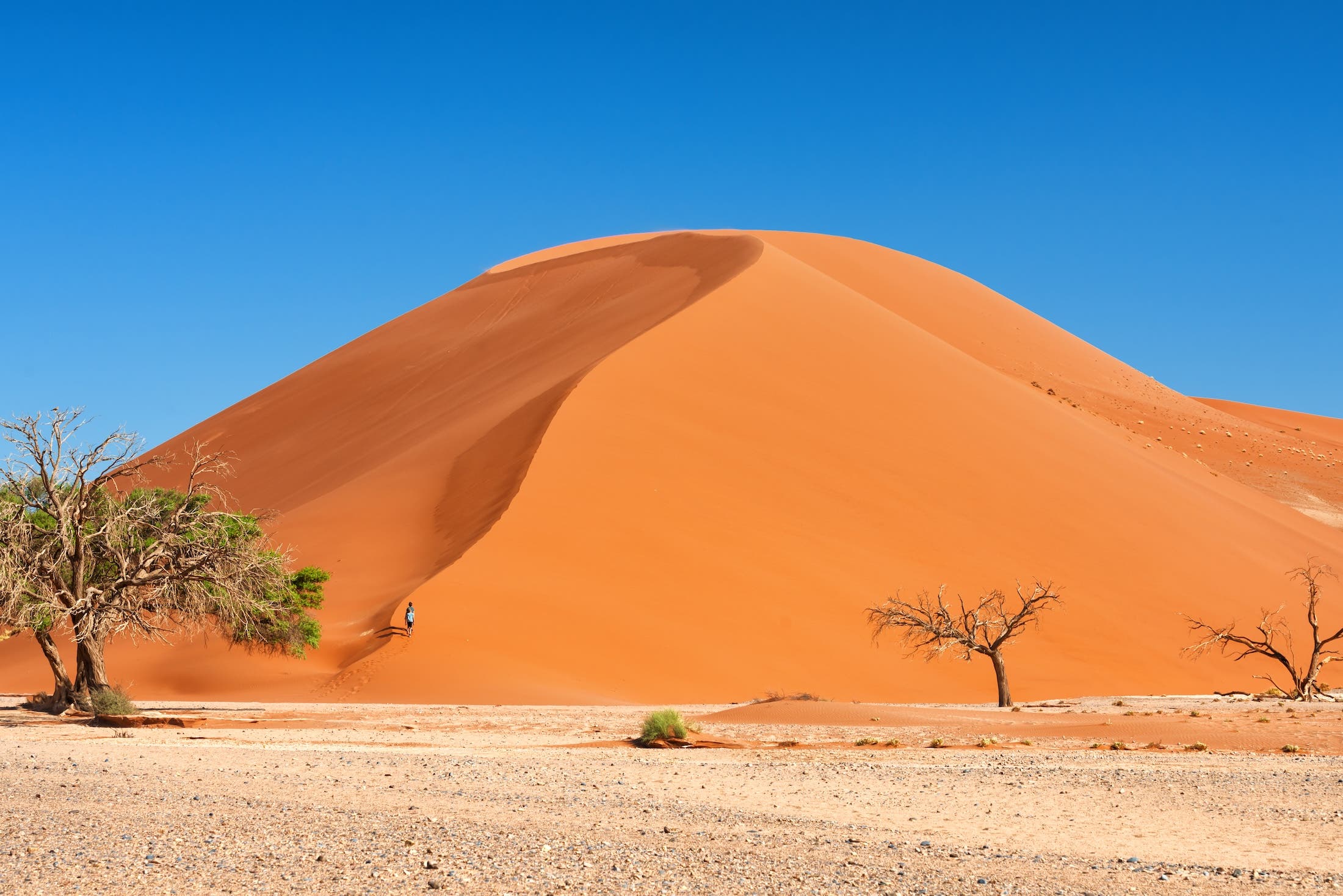 Dune 45 Namibia