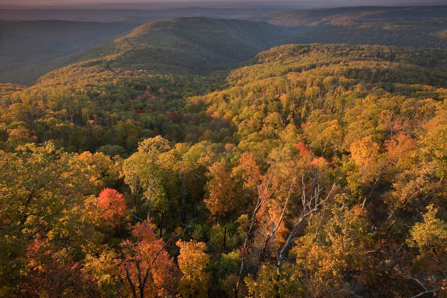 Sunrise from White Rock Mountain along the Ozark Highlands Trail.