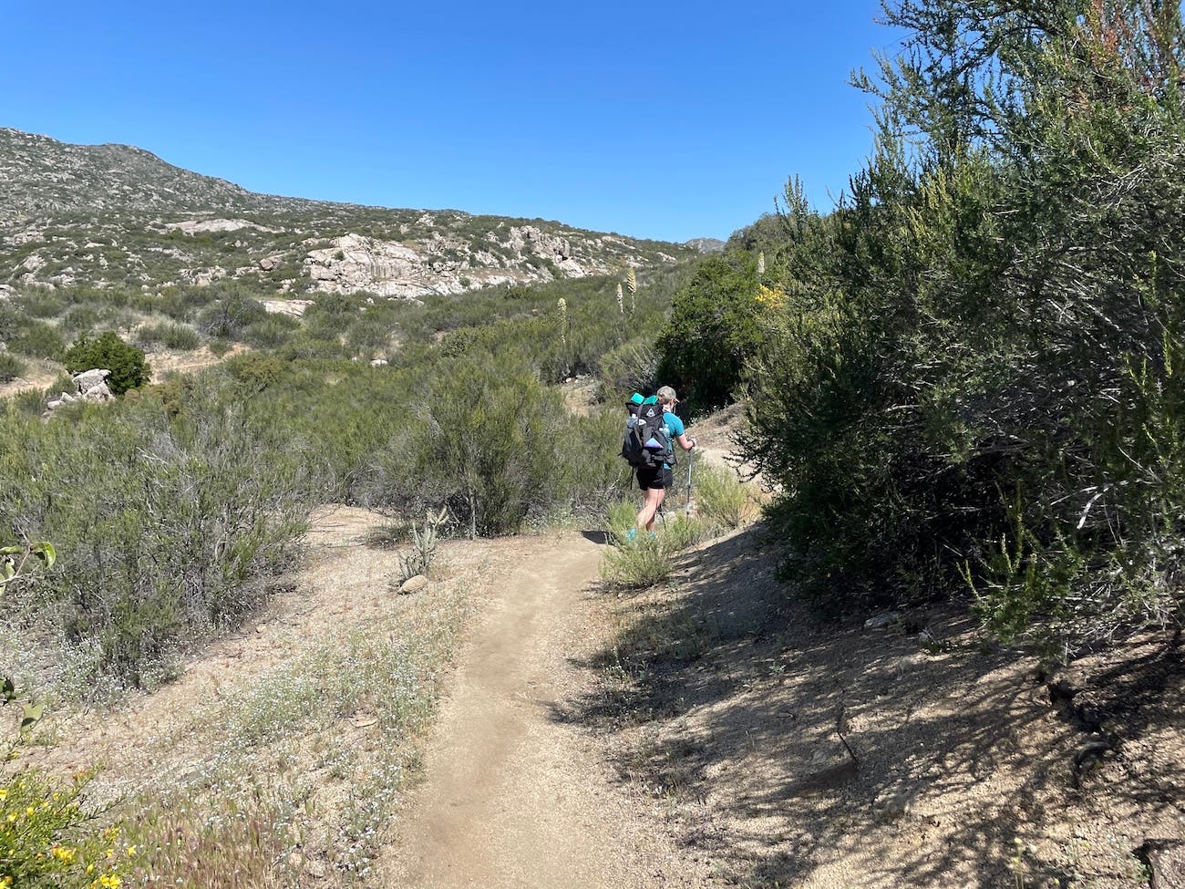 The 5 Best Sections of the PCT to Hike in the Winter - Backpacker