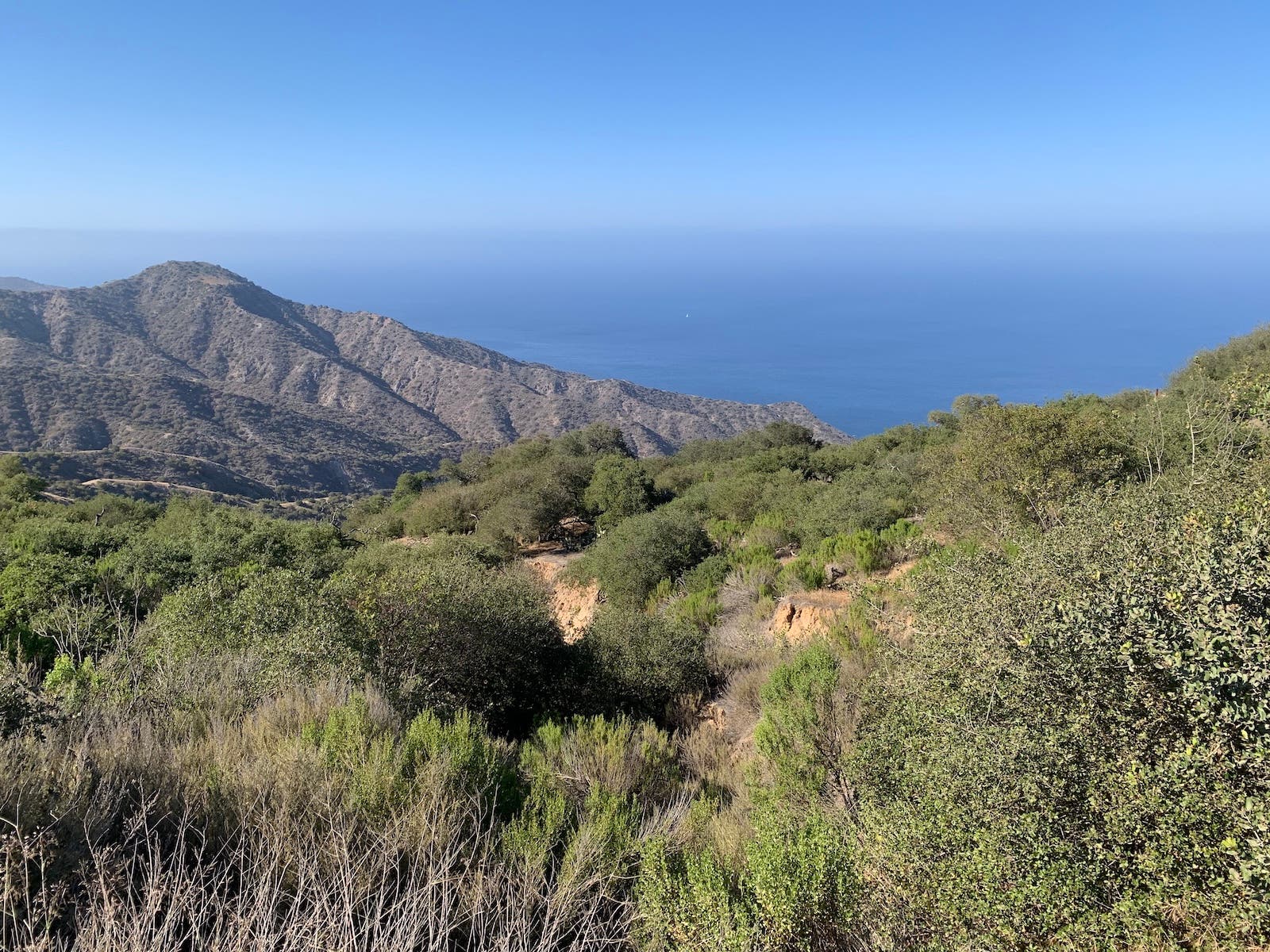 trans catalina trail