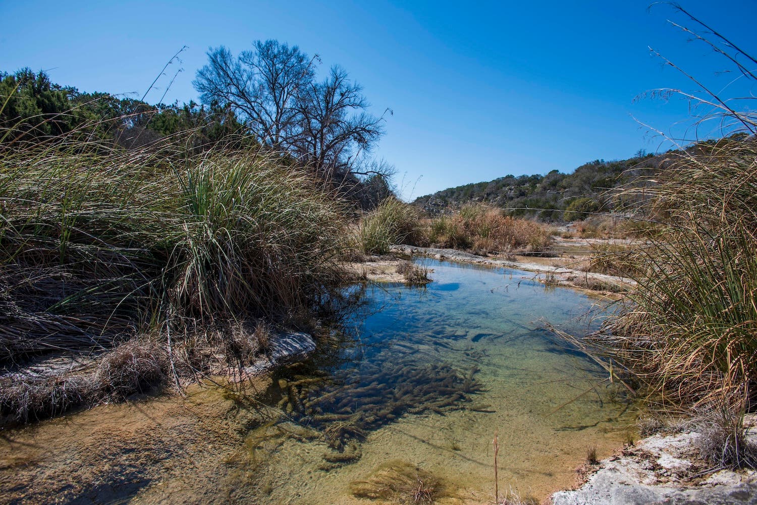 Texas Is Becoming America's Surprise Public Lands Success Story