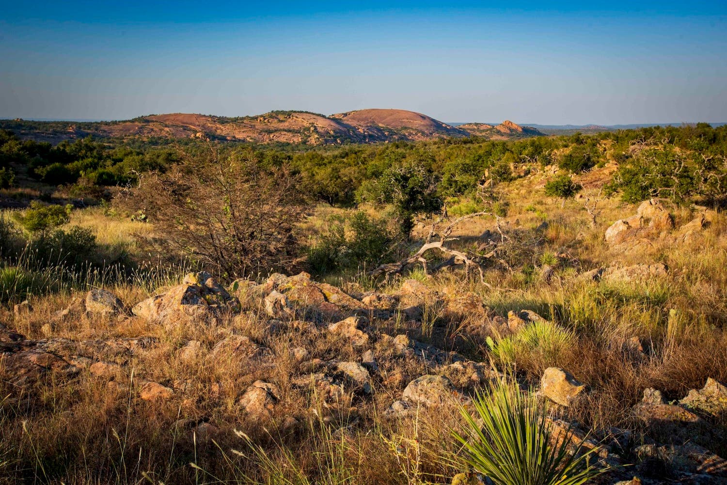 Enchanted Rock State Natural Area