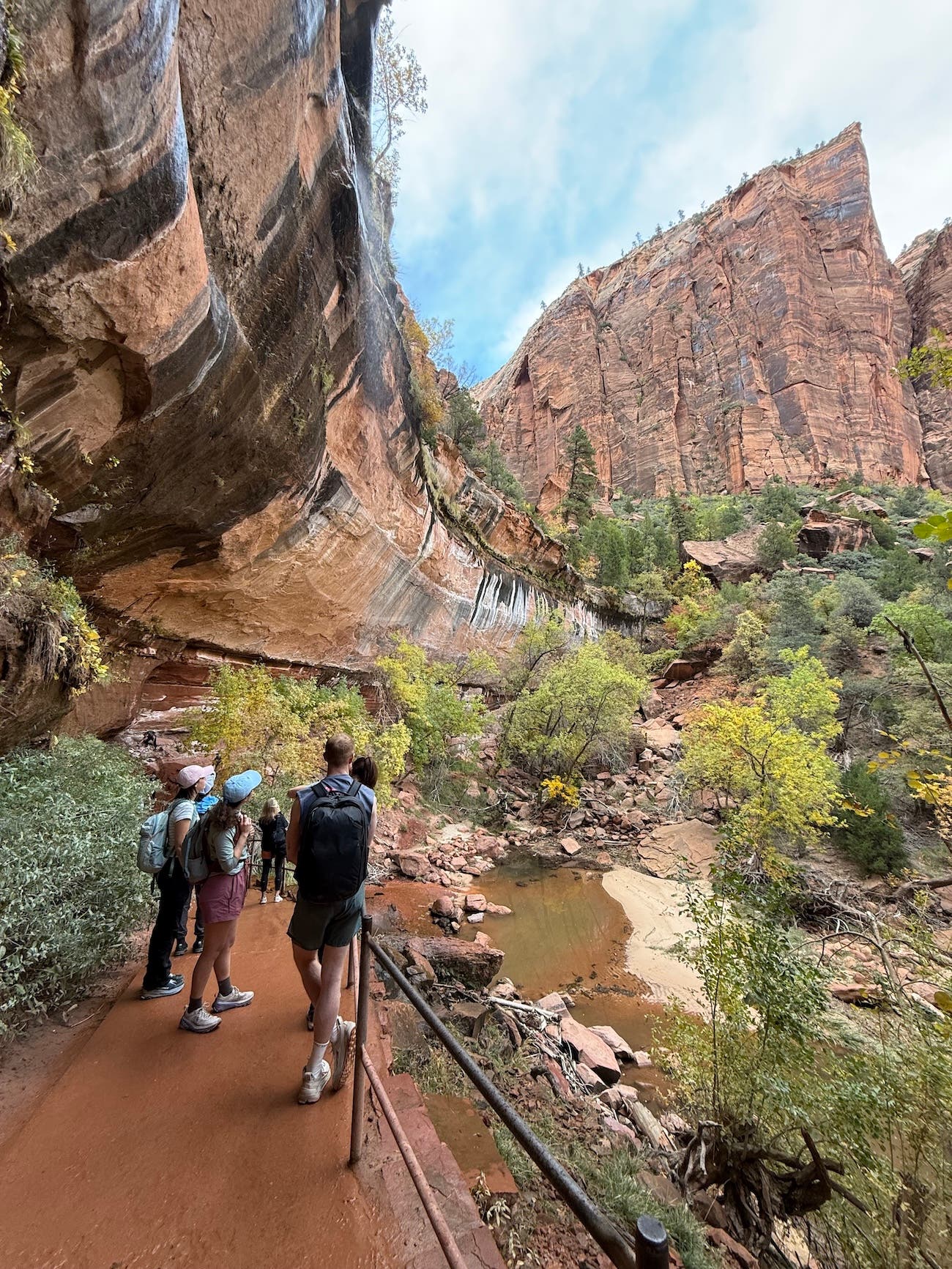 the group on a hike in zion active-ism