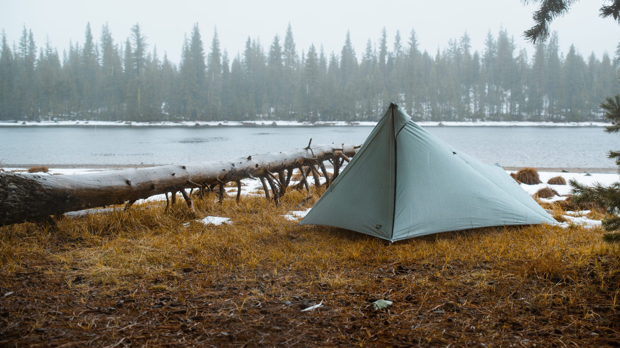 Tarptent’s New ProTrek Shelter Is Breezy and Affordable