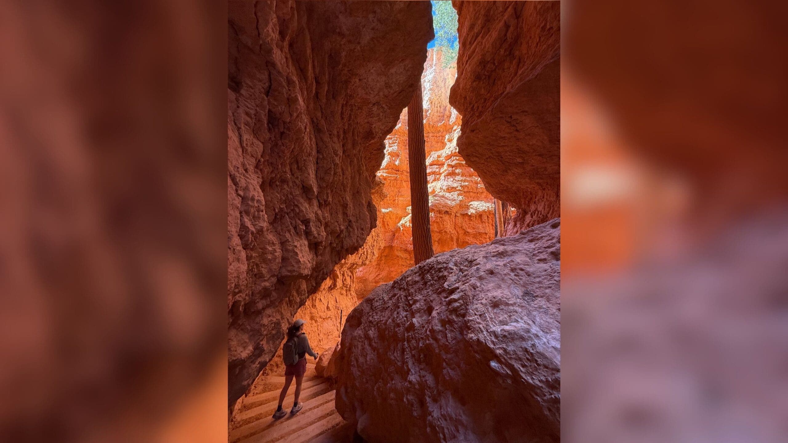 How to Find People on Tumblr: 12 Steps (with Pictures) - wikiHow, image size:2560x1440