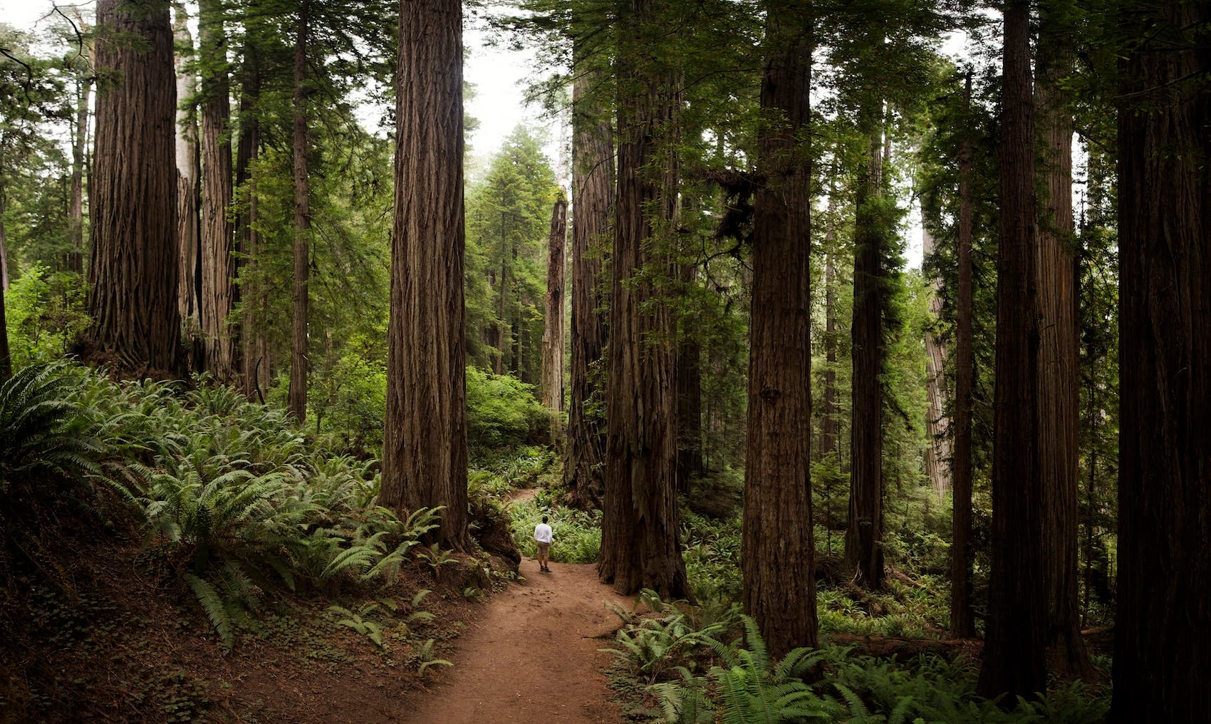 Skip the Park Pass: These 4 National Parks Are Free to Visit