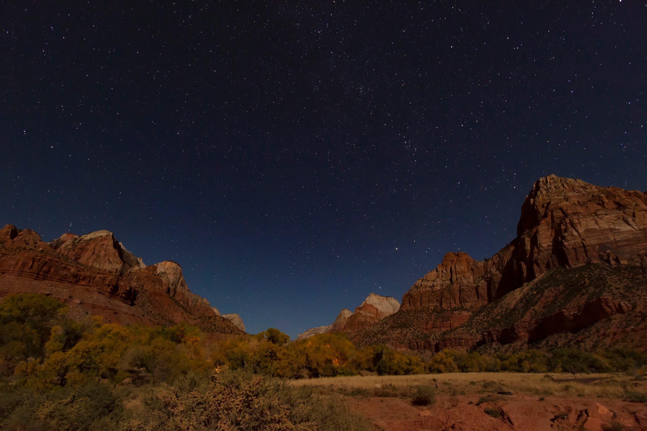 A clear, starry night sky over the fields and canyon walls of Zion National Park in Utah.