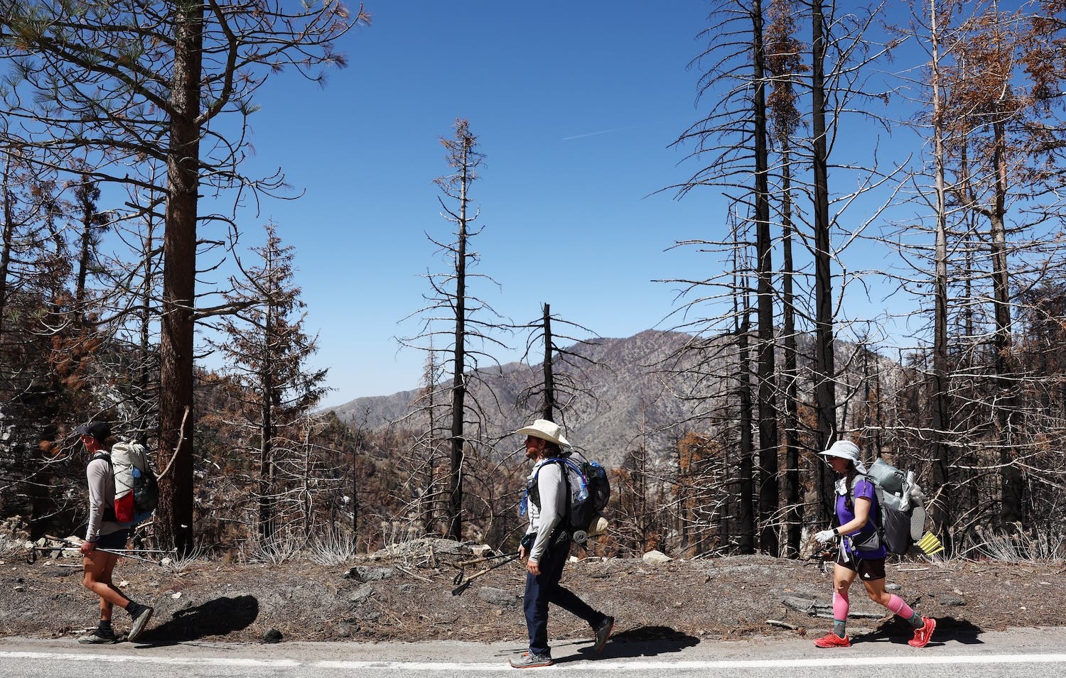 Three PCT hikers pass pass through a re-opened section of the Angeles National Forest that burned during the 2020 Bobcat Fire.