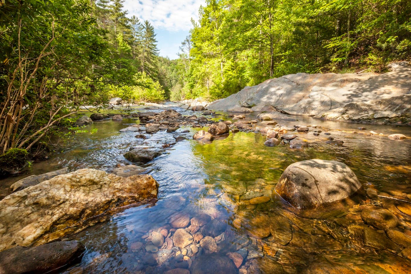 Chattahoochee-Oconee National Forest georgia