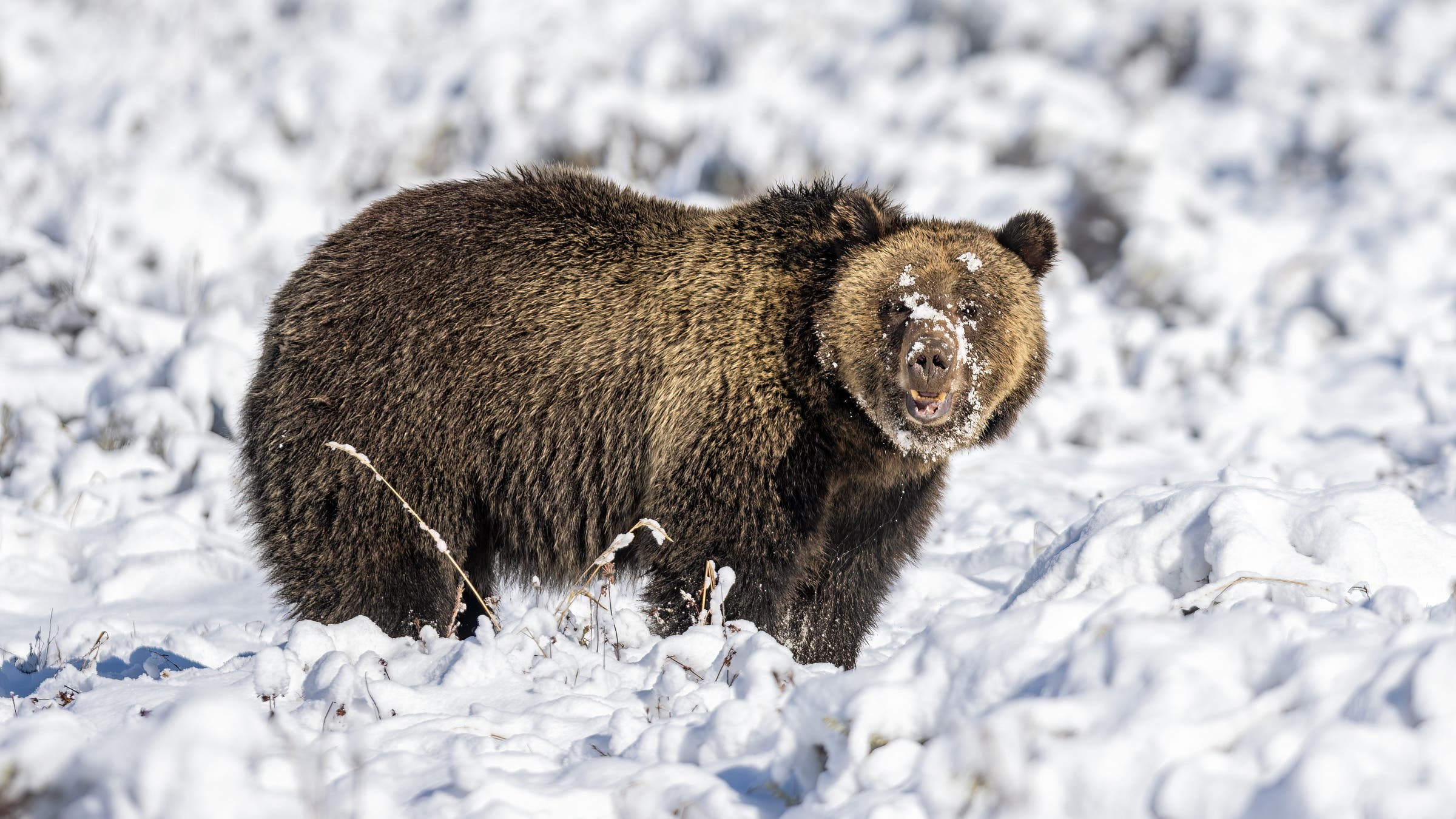 7 Dangerous Hiking Hazards You Probably Forgot About Over Winter