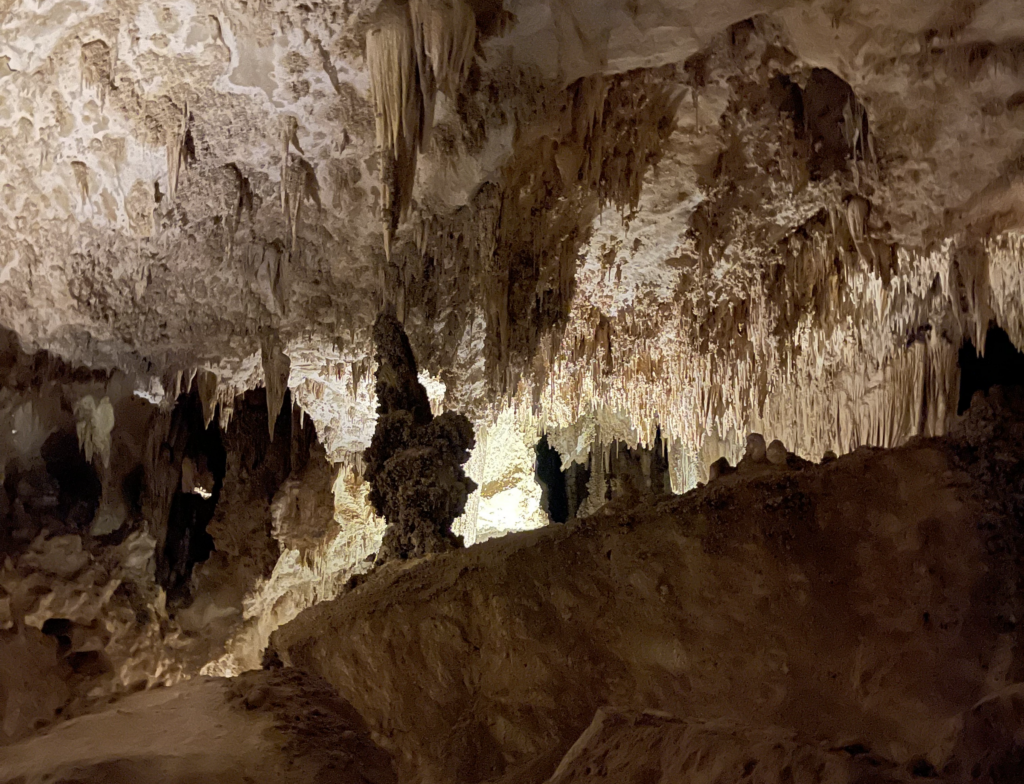 The unique, twisting karst formations of Carlsbad Caverns in New Mexico. 