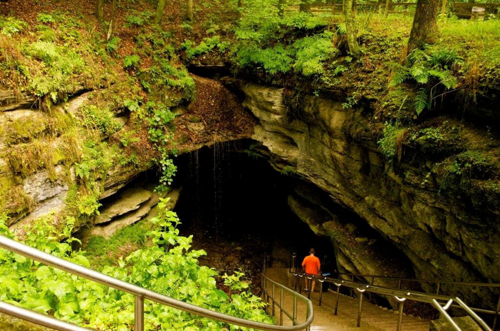 A hiker descends into one of Mammoth Cave's wilder entrances.