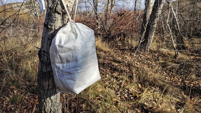 3 New Bear-Safety Solutions That Aren't a Pain to Use