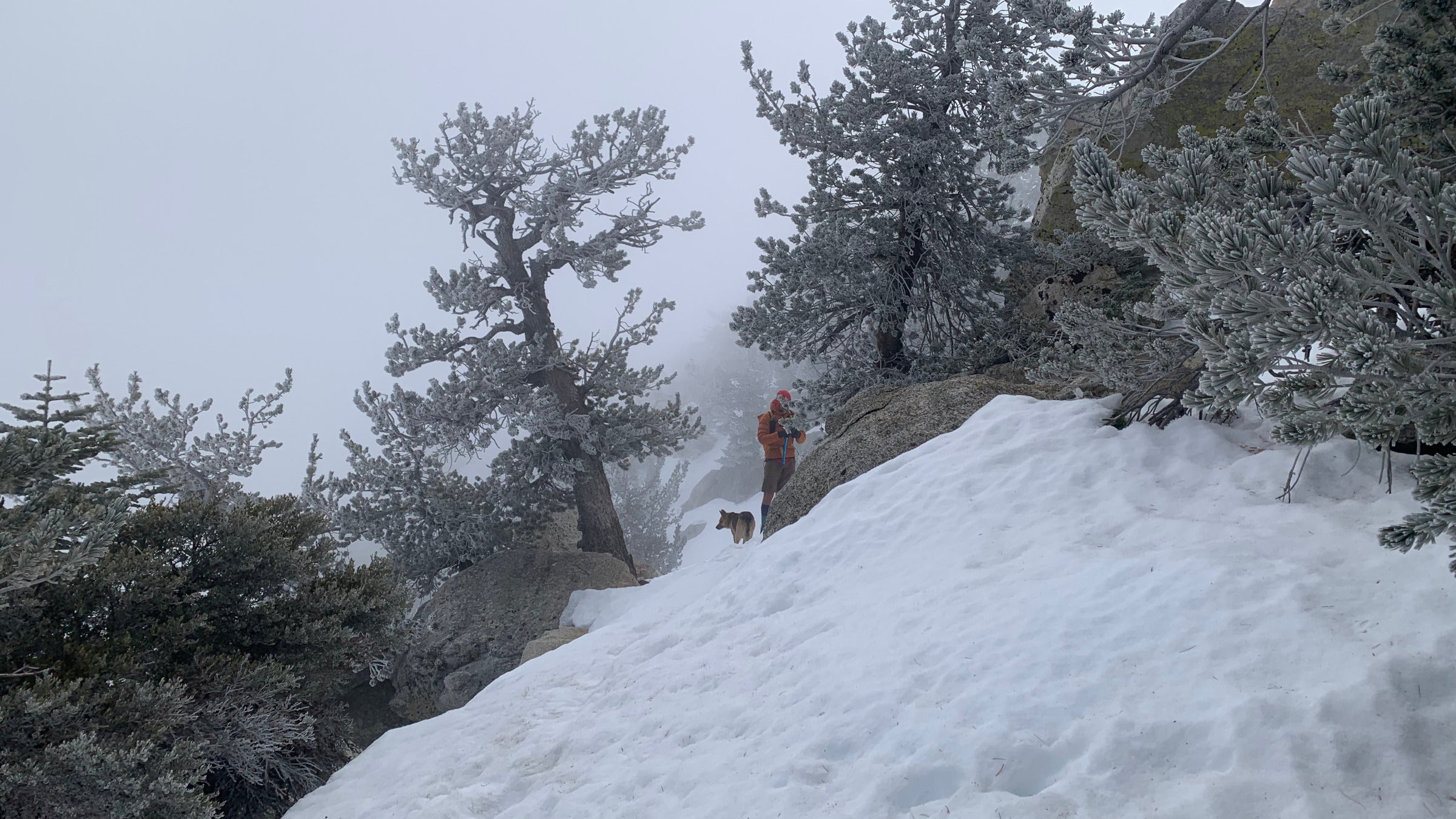 These 5 Popular "Survival Skills" Won't Help You in a Backpacking Emergency