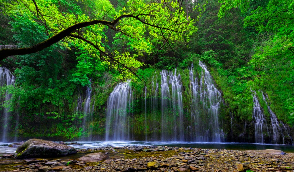 Mossbrae Fals is a waterfall flowing into the Sacramento River, in the Shasta Cascade area in Dunsmuir, CA.