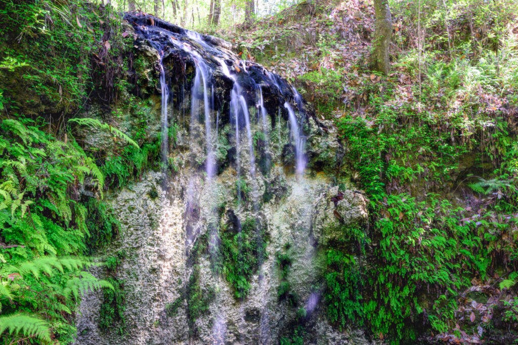 Falling Waters waterfall in Florida