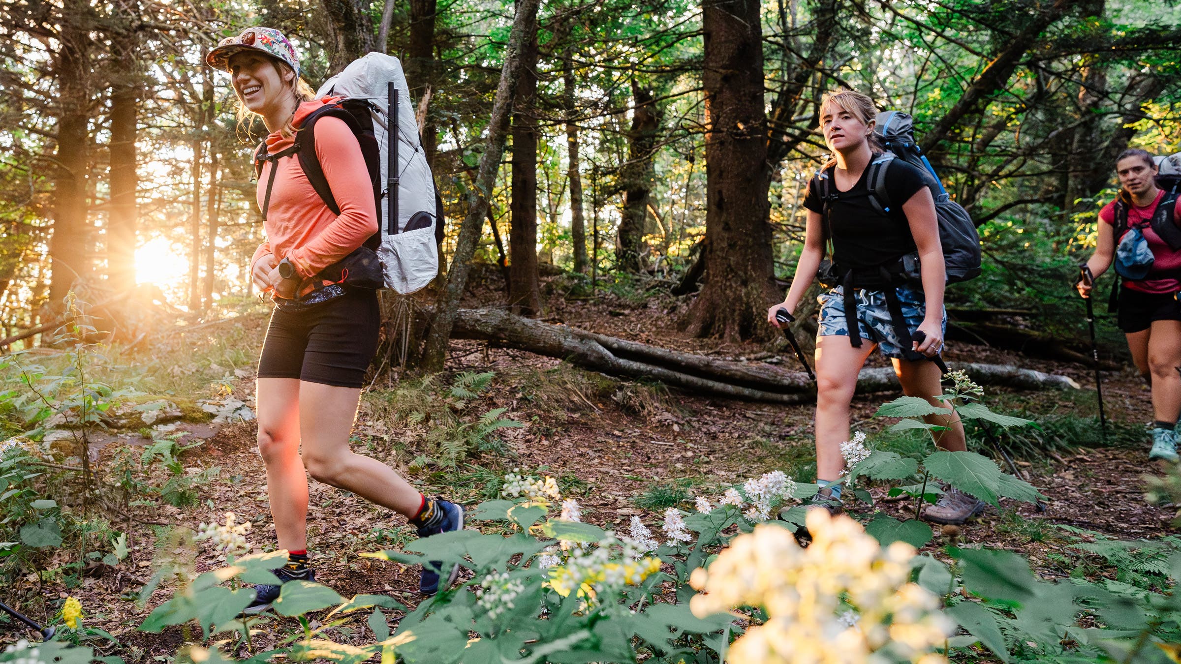 Three female hikers in a forest
